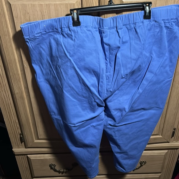 Capris - Picture 4 of 5